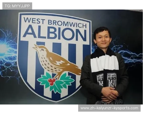 德甲历年球队归属中国资本的案例