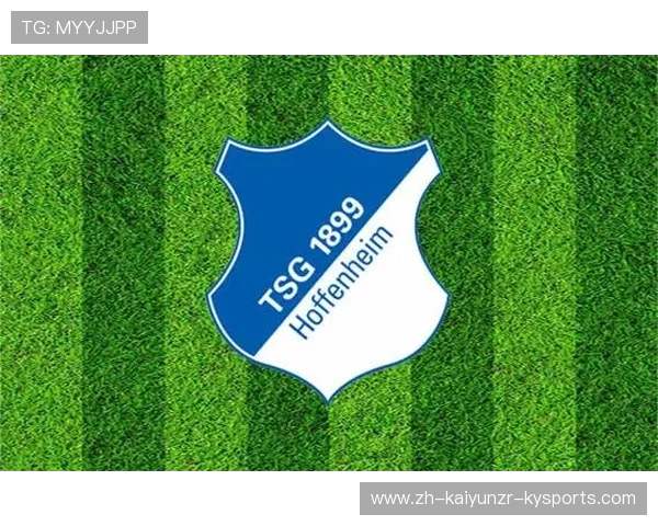 德甲降级球队logo：德甲降级球队的队徽与其背后的象征意义